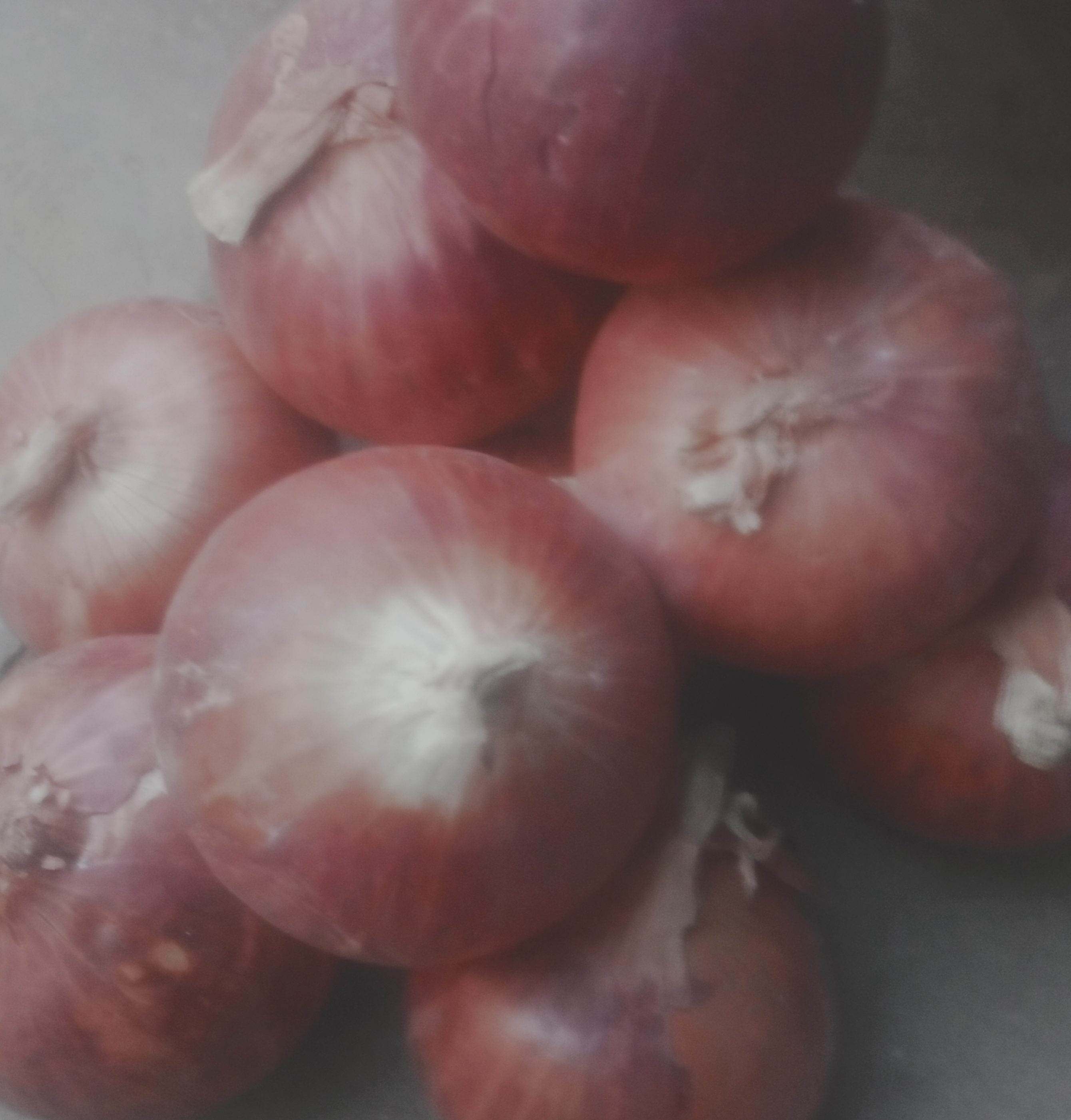 Nasik Onion big size (nasik pyaj)  1kg