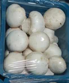 Mushroom-. 05 pKt (Rs. 36/Pkt)