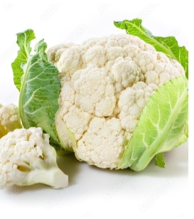 Cabbage  (Fuul Gobhi) 5 KG,  (Rs. 80/KG)