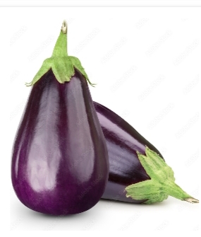 Brinjal gol ( Bengan) 5Kg (RS. 30/KG)